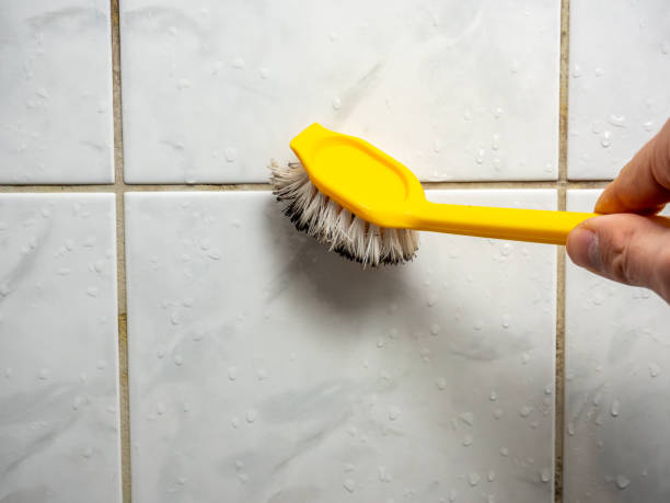 Best Certified Mold Removal  in Hideaway, TX