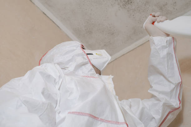 Hideaway, TX Mold Removal Company