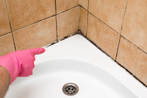 Best Mold Remediation  in Hideaway, TX